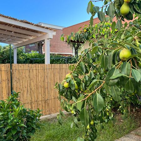 Civiconove Apartman Piombino Kültér fotó