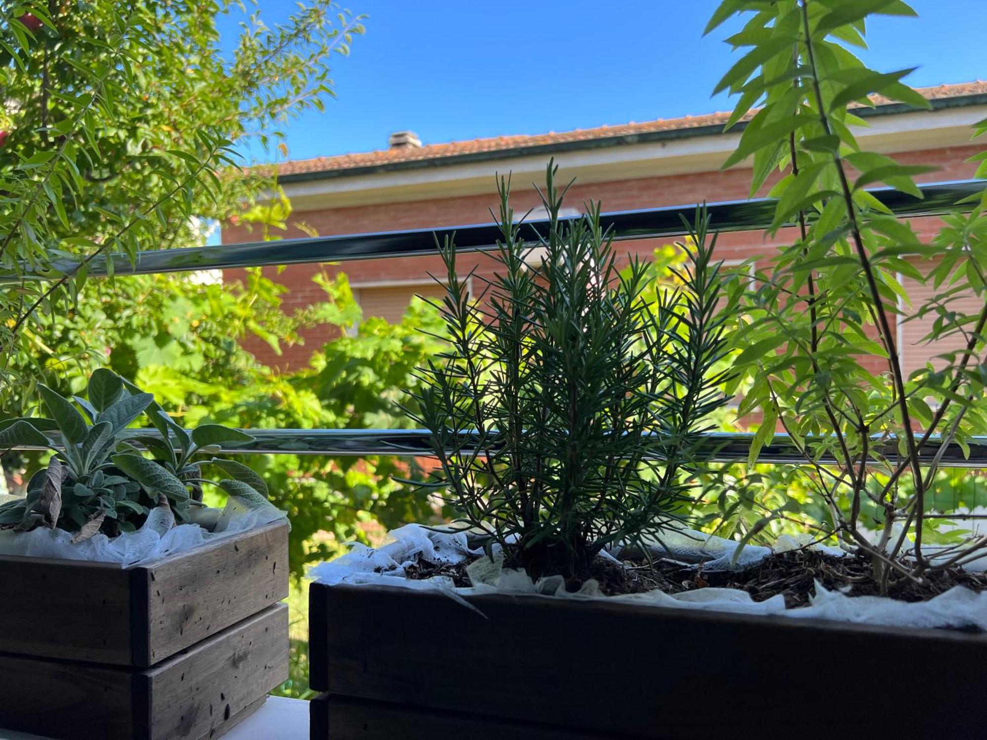 Civiconove Apartman Piombino Kültér fotó