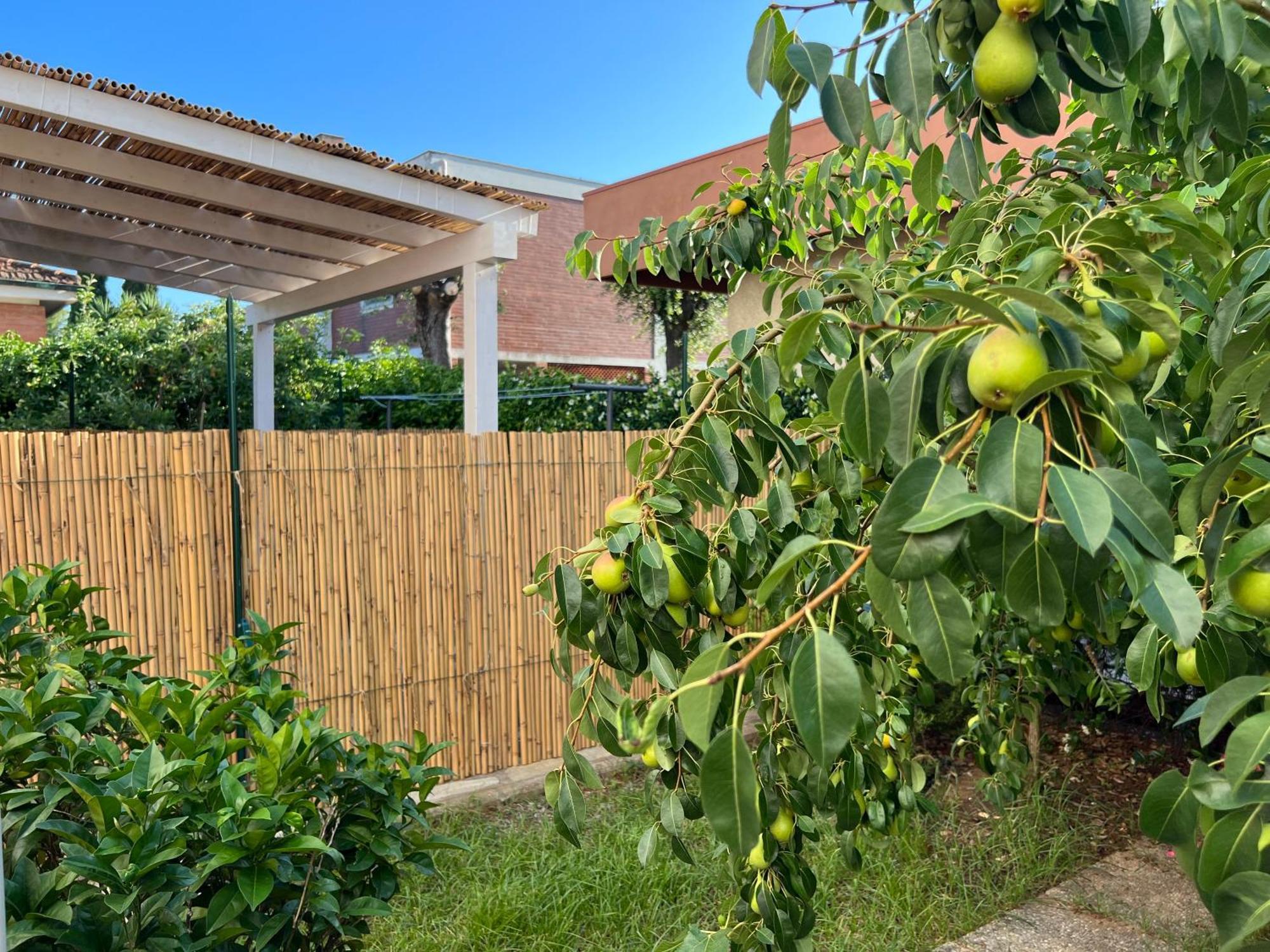 Civiconove Apartman Piombino Kültér fotó